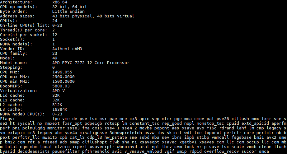 AMD EPYC 7272 Lscpu Output