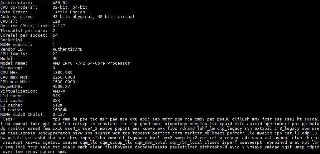 AMD EPYC 7742 Lscpu