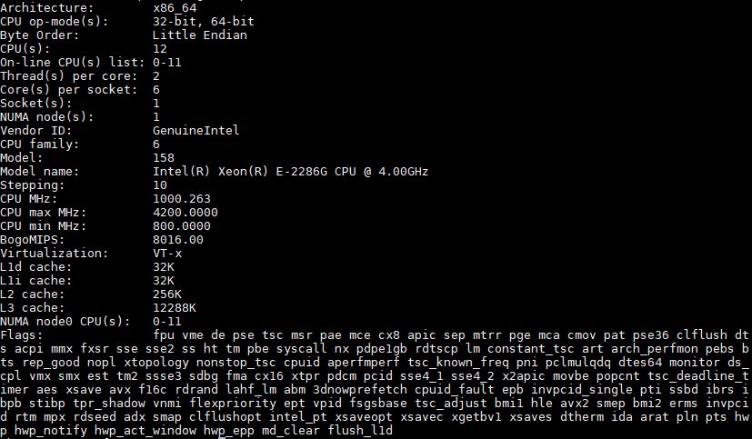 Intel Xeon E 2286 Lscpu Output