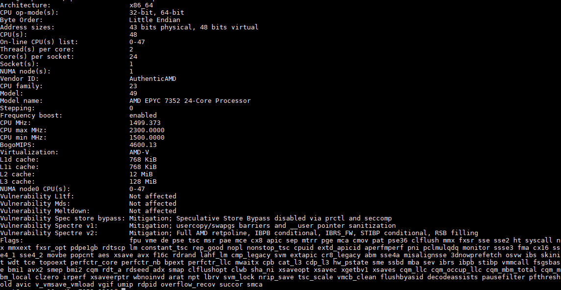 AMD EPYC 7352 Lscpu Output