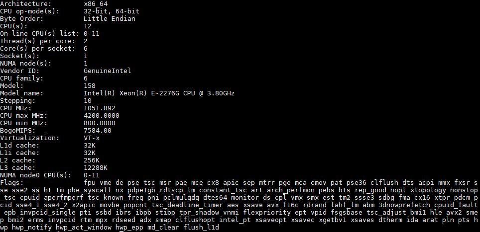 Intel Xeon E 2276G Lscpu Output