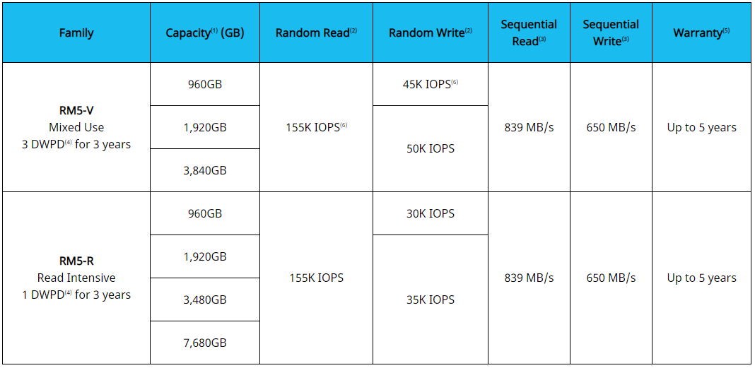 Kioxia RM5 Performance Dell