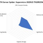 STH Server Spider Supermicro SYS 2029UZ TN20R25M