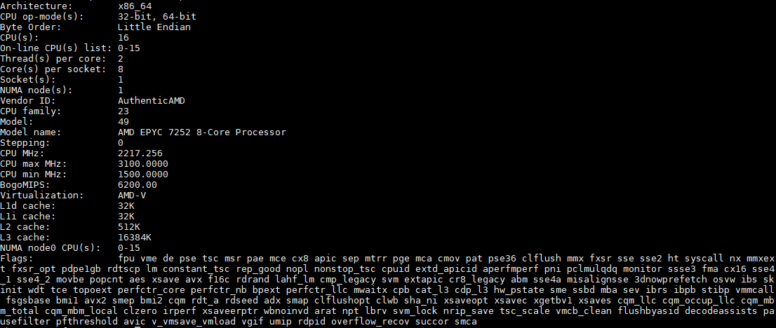 AMD EPYC 7252 Lscpu Output