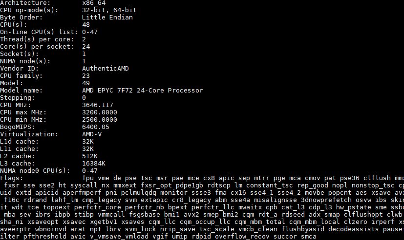 AMD EPYC 7F72 Lscpu Output