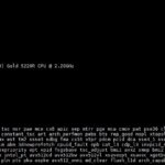 Intel Xeon Gold 5220R Lscpu Output