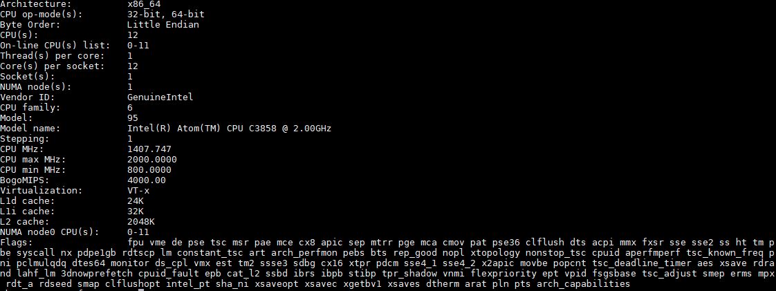 Intel Atom C3858 Lscpu Output