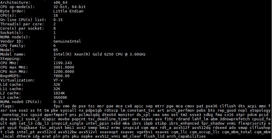 Intel Xeon Gold 6250 Lscpu Output
