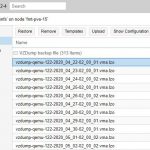 Proxmox VE Restore From NFS Backups