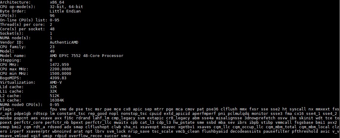AMD EPYC 7552 Lscpu Output
