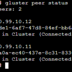 Gluster Peer Status