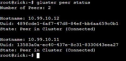 Gluster Peer Status