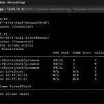 Gluster Volume Status