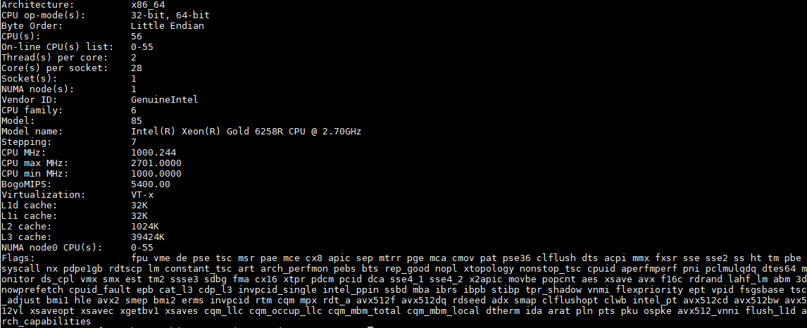 Intel Xeon Gold 6258R Lscpu Output