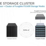 Fungible Storage Cluster