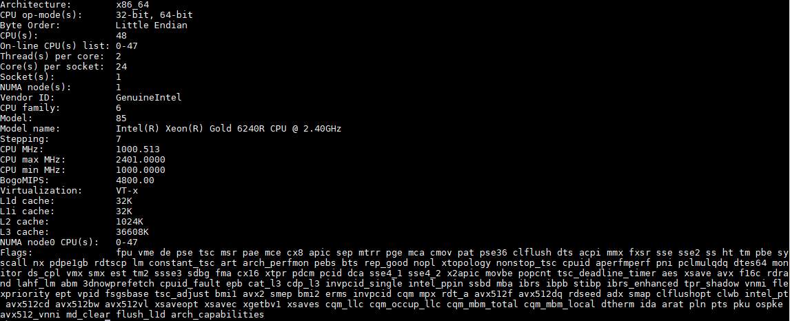 Intel Xeon Gold 6240R Lscpu Output