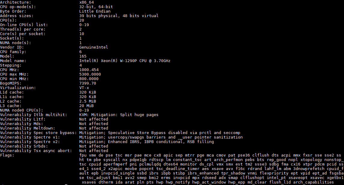 Intel Xeon W 1290P Lscpu Output