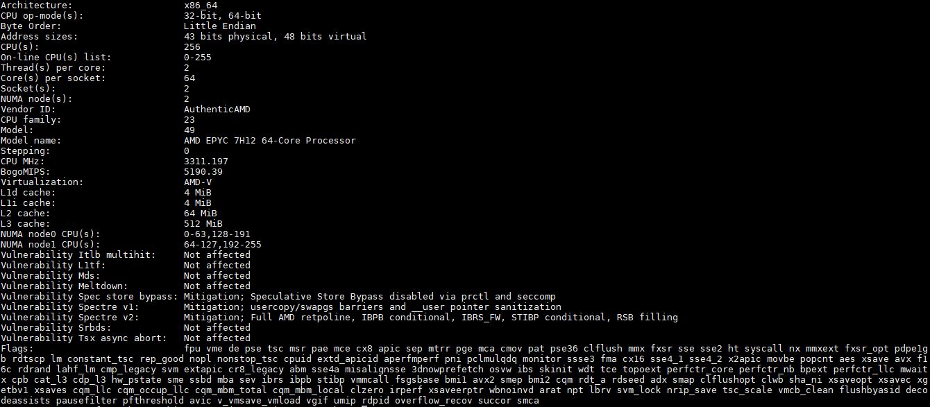 AMD EPYC 7H12 Lscpu Output