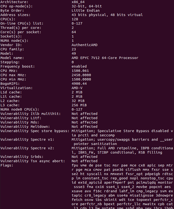 AMD EPYC 7V12 Lscpu Output Example