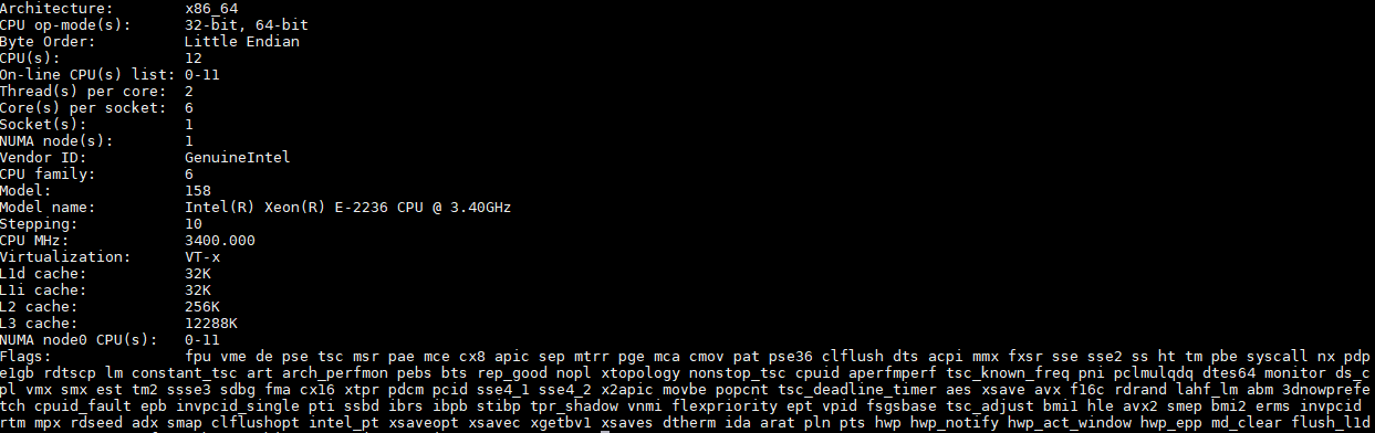 Intel Xeon E 2236 Lscpu Output