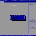 ODROID H2 Plus BIOS Linux Windows