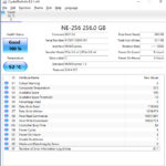 KingSpec NE 256 CrystalDiskInfo