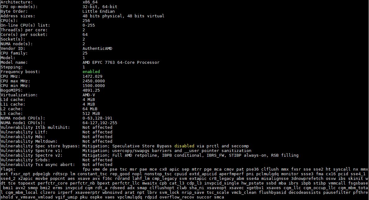 AMD EPYC 7763 Lscpu Output