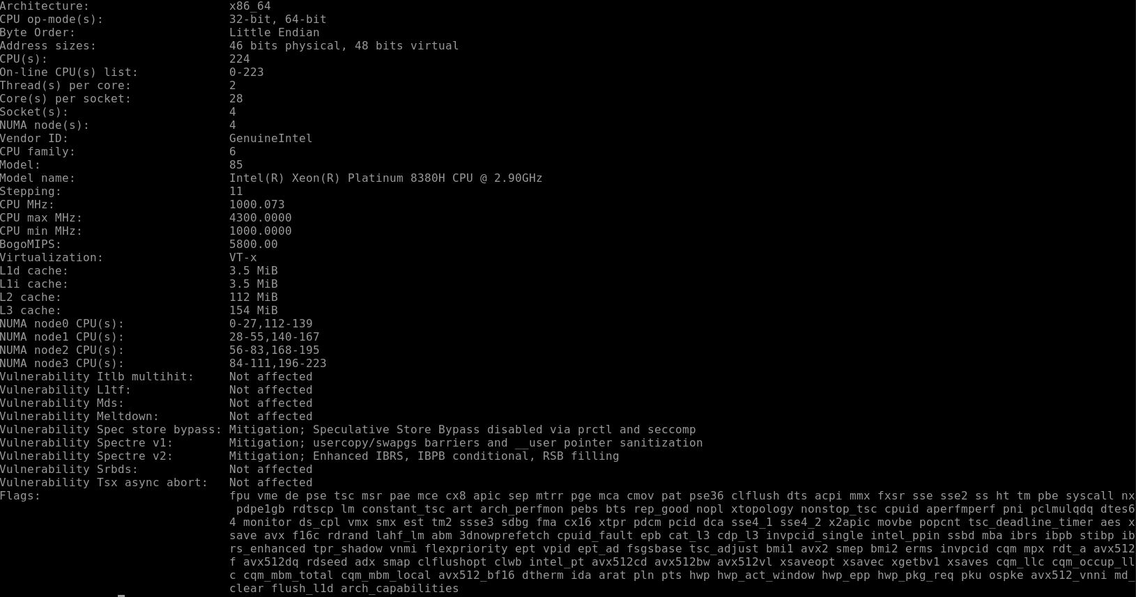 Intel Xeon Platinum 8380H Lscpu Output