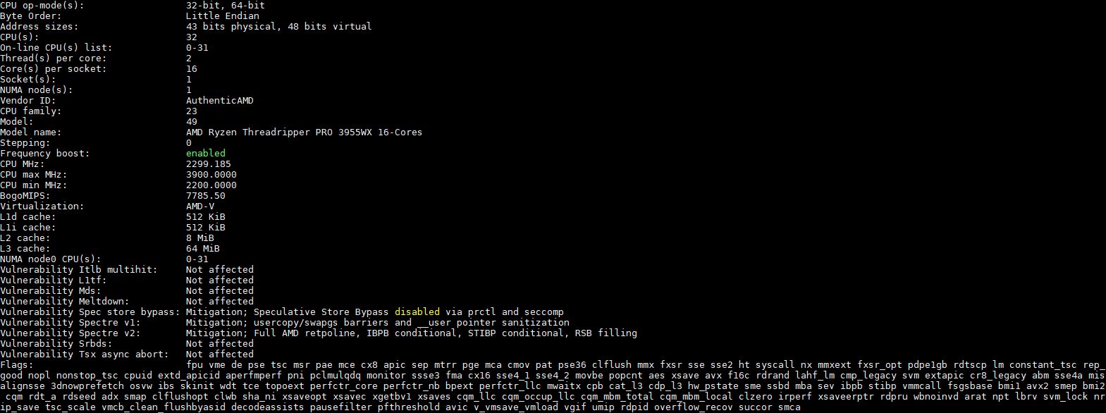 AMD Threadripper Pro 3955WX Lscpu Output