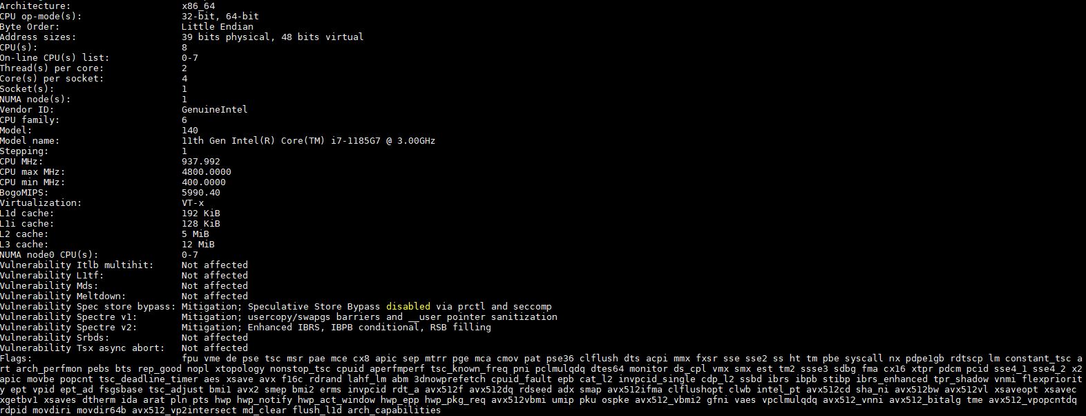 Intel Core I7 1185G7 Lscpu Output