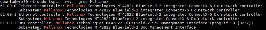 NVIDIA BlueField 2 DPU Lspci Vvv