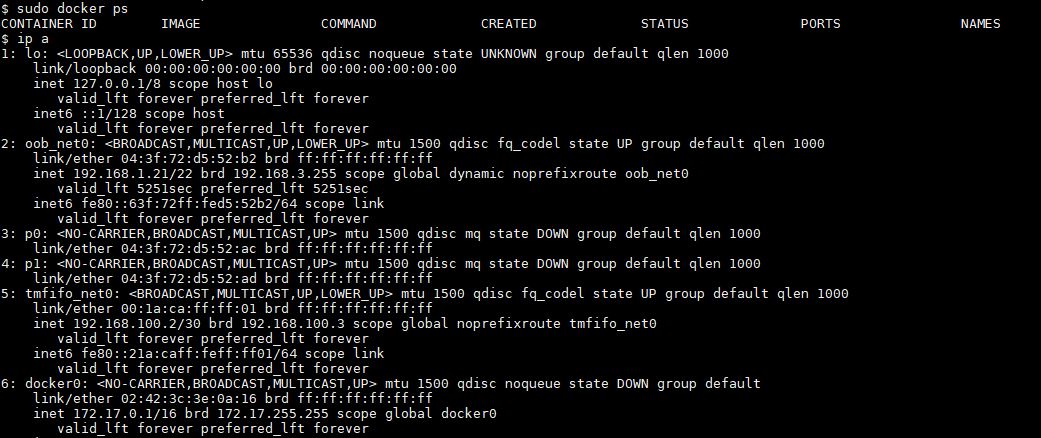 NVIDIA BlueField 2 DPU Sudo Docker Ps