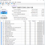 Teamgroup MS30 256GB CrystalDiskInfo