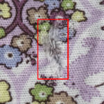 Fabric Defect Highlighted