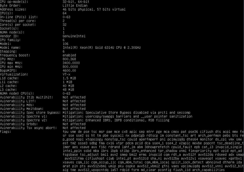 Intel Xeon Gold 6314U Lscpu Output