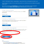 Microsoft Windows 11 Download Page Annotated