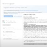 Microsoft Windows 11 Video Skips Reading License Terms