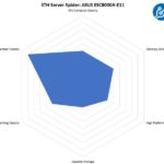 STH Server Spider ASUS ESC8000A E11