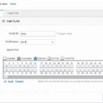FS Management Web Test VLAN