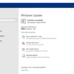 Microsoft Windows 11 Pro Installing Via RDP Session 25 Percent