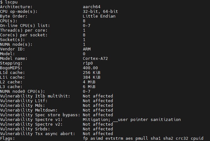 NVIDIA BlueField 2 DPU Lscpu Output