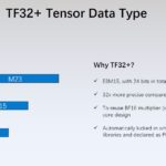 HC34 Biren BR100 GPU TF32+ Tensor Data Type