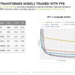 NVIDIA H100 Hopper FP8 Transformer Models Trained