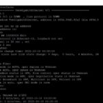 FS N5860 48SC Show Interfaces