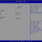 Supermicro Server BIOS With 393216MB Installed RAM