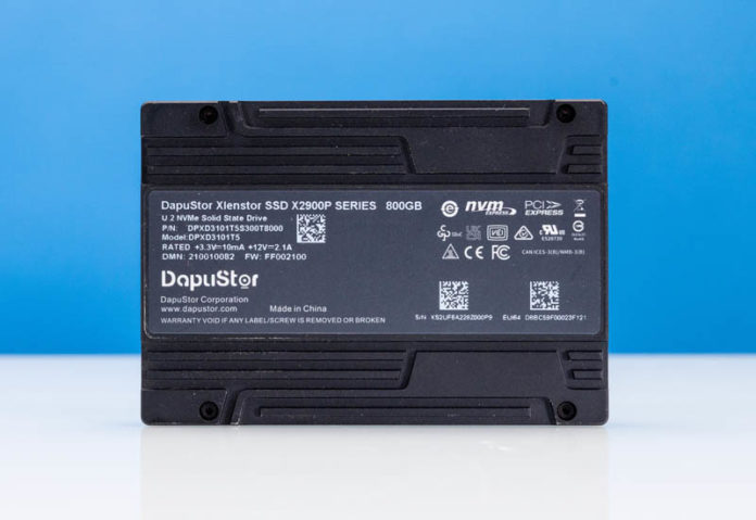 DapuStor Xlenstor2 X2900P Label