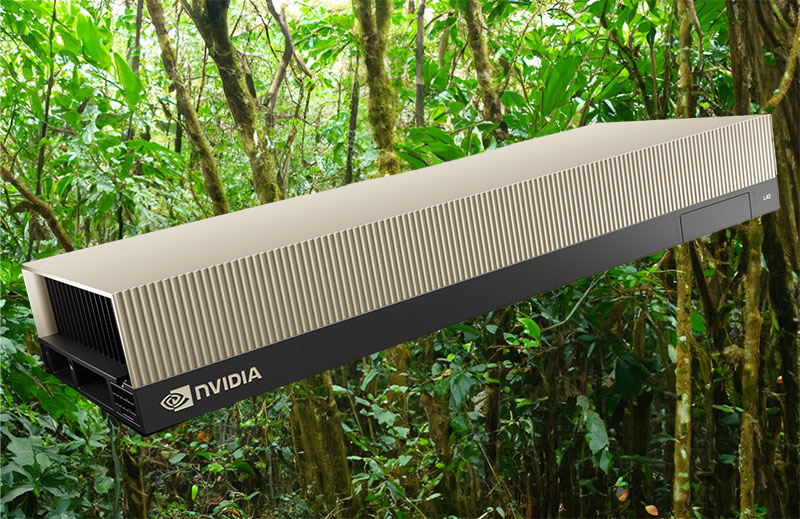 NVIDIA L40S In Rainforest