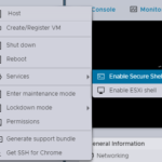 Deskmini B660W ESXi Enable SSH