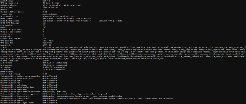 AMD Ryzen 7 8700G Lscpu Output