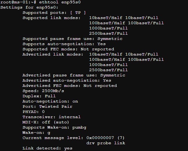 Proxmox VE Enp95s0 In Ethtool